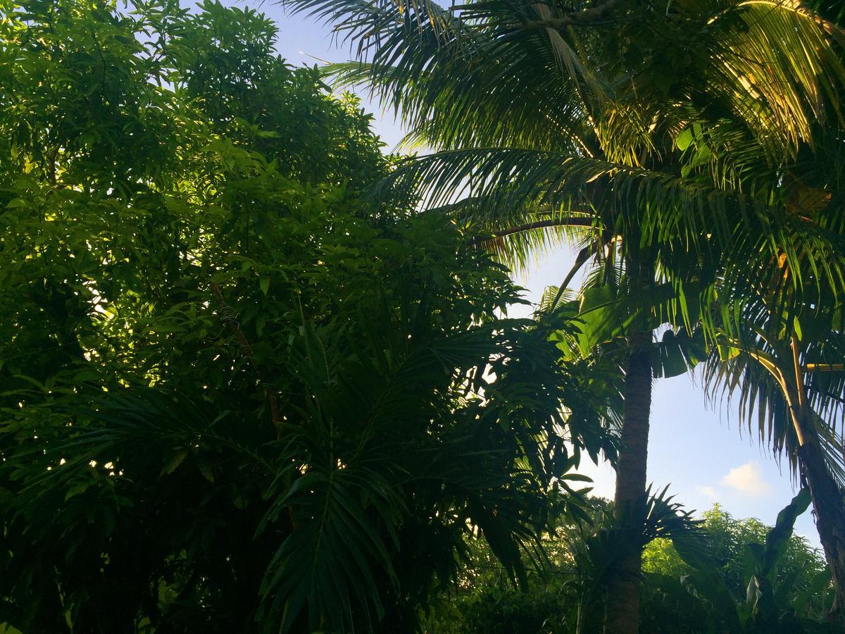 Yaad Hostel Montego Bay Luaran gambar